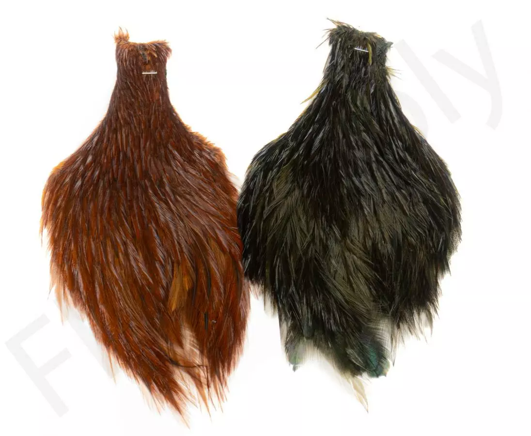 Irish Cock Necks #2 3 Irish Cock Necks #2