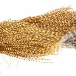 Metz Half Neck #3 -Rod Tubes Verkoopwinkel Metz Half Neck 3 METZ HNECK X dsc08833