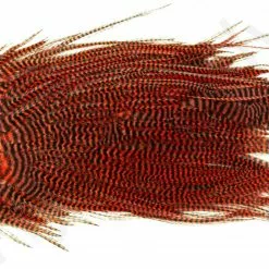 Metz Magnum Saddle #2 -Rod Tubes Verkoopwinkel Metz Magnum Saddle 2 METZ MG2 X dsc08722