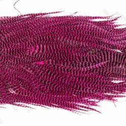 Metz Magnum Saddle #2 -Rod Tubes Verkoopwinkel Metz Magnum Saddle 2 METZ MG2 X dsc08728