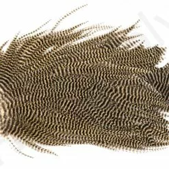 Metz Magnum Saddle #2 -Rod Tubes Verkoopwinkel Metz Magnum Saddle 2 METZ MG2 X dsc08731