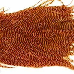 Metz Magnum Saddle #2 -Rod Tubes Verkoopwinkel Metz Magnum Saddle 2 METZ MG2 X dsc08732