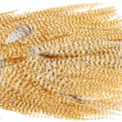 Metz Magnum Saddle #2 -Rod Tubes Verkoopwinkel Metz Magnum Saddle 2 METZ MG2 X dsc08739