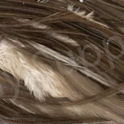 Metz Saddle Grade #3 Dry Fly & Streamer 33 Metz Saddle Grade #3 Dry Fly & Streamer -Rod Tubes Verkoopwinkel Metz Saddle Grade 3 Dry Fly Streamer METZ DFSAD3 X chocolate brown close