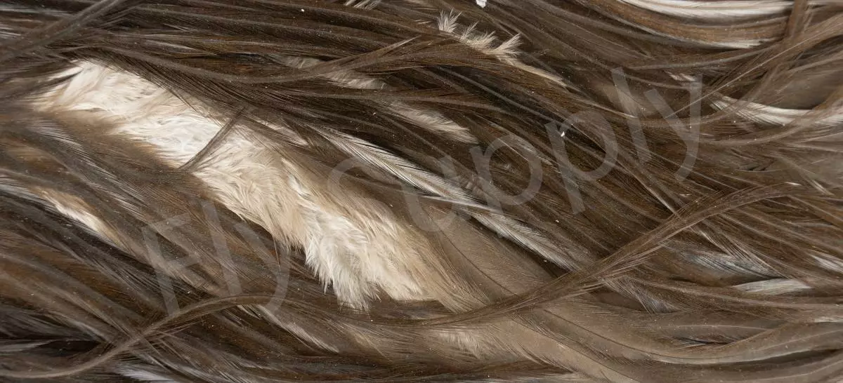 Metz Saddle Grade #3 Dry Fly & Streamer 13 Metz Saddle Grade #3 Dry Fly & Streamer - Afbeelding 11