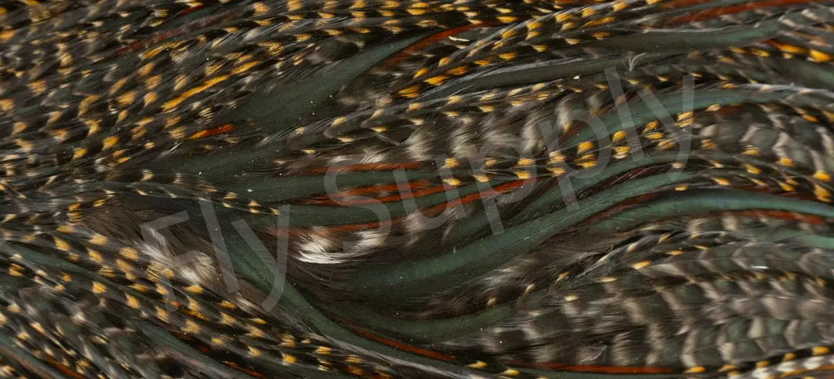 Metz Saddle Grade #3 Dry Fly & Streamer 9 Metz Saddle Grade #3 Dry Fly & Streamer - Afbeelding 7