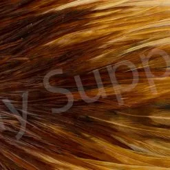 Metz Saddle Grade #3 Dry Fly & Streamer 31 Metz Saddle Grade #3 Dry Fly & Streamer -Rod Tubes Verkoopwinkel Metz Saddle Grade 3 Dry Fly Streamer METZ DFSAD3 X ginger close