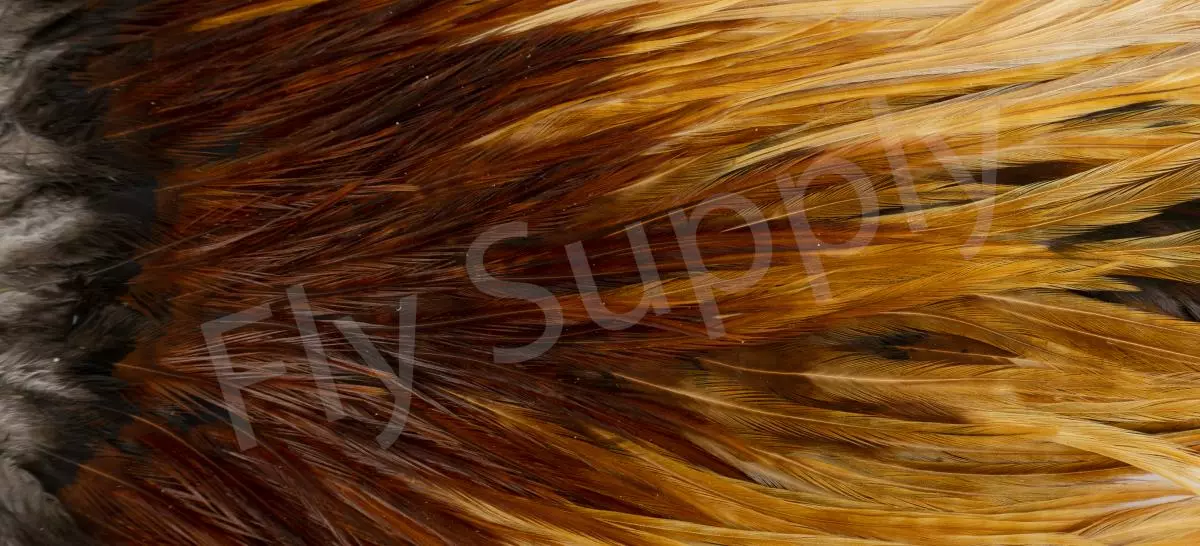 Metz Saddle Grade #3 Dry Fly & Streamer 11 Metz Saddle Grade #3 Dry Fly & Streamer - Afbeelding 9