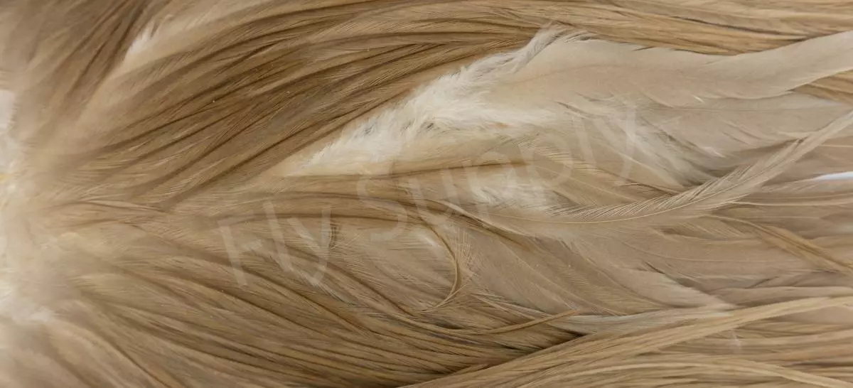 Metz Saddle Grade #3 Dry Fly & Streamer 15 Metz Saddle Grade #3 Dry Fly & Streamer - Afbeelding 13