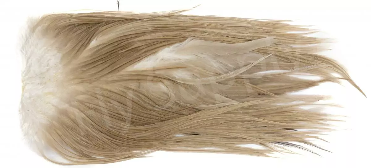 Metz Saddle Grade #3 Dry Fly & Streamer 14 Metz Saddle Grade #3 Dry Fly & Streamer - Afbeelding 12