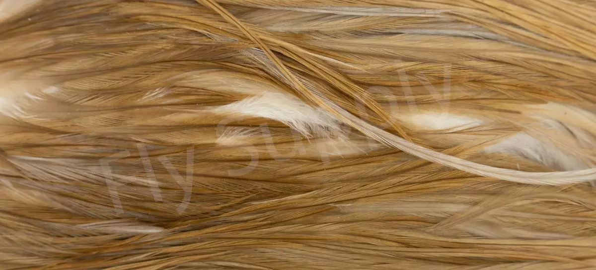 Metz Saddle Grade #3 Dry Fly & Streamer 21 Metz Saddle Grade #3 Dry Fly & Streamer - Afbeelding 19