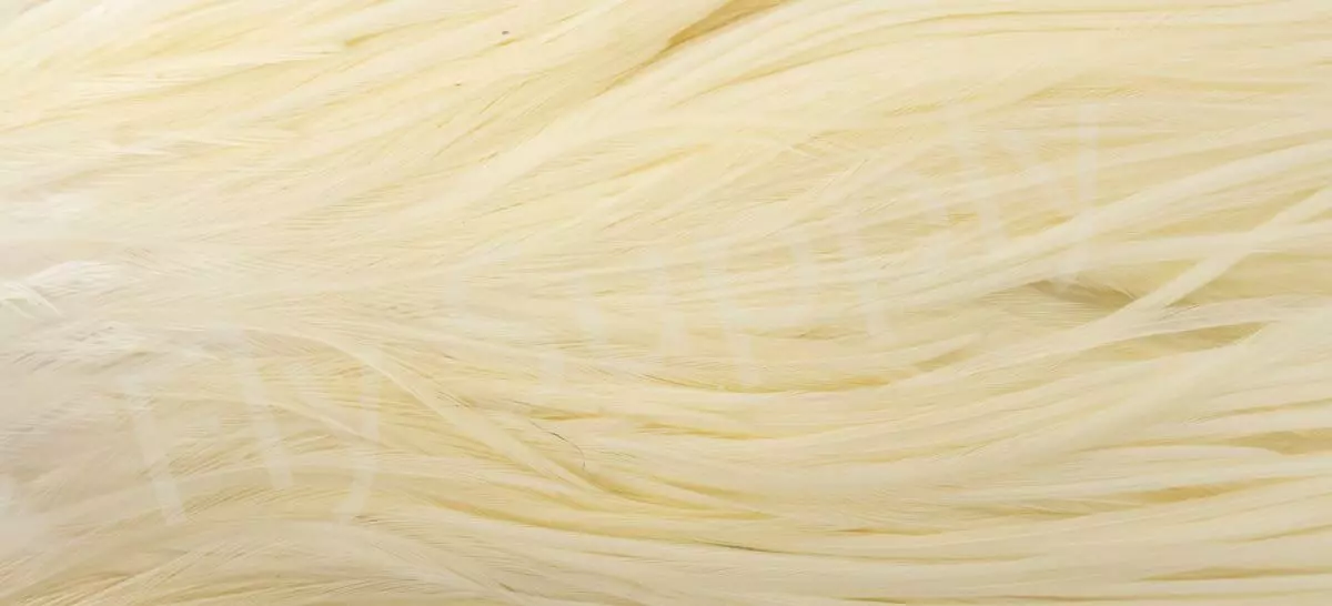 Metz Saddle Grade #3 Dry Fly & Streamer 5 Metz Saddle Grade #3 Dry Fly & Streamer - Afbeelding 3