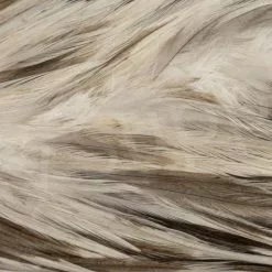 Metz Saddle Grade #3 Dry Fly & Streamer 39 Metz Saddle Grade #3 Dry Fly & Streamer -Rod Tubes Verkoopwinkel Metz Saddle Grade 3 Dry Fly Streamer METZ DFSAD3 X white spashed close