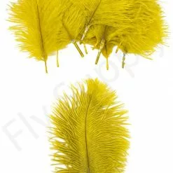 Mini Ostrich Marabou Plumes -Rod Tubes Verkoopwinkel Mini Ostrich Marabou plumes 40 83XXX dsc09497 bewerkt 1