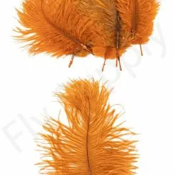 Mini Ostrich Marabou Plumes -Rod Tubes Verkoopwinkel Mini Ostrich Marabou plumes 40 83XXX dsc09498 bewerkt 1