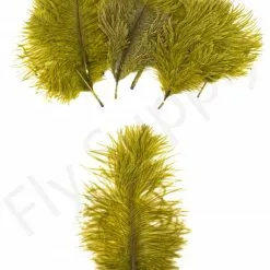 Mini Ostrich Marabou Plumes -Rod Tubes Verkoopwinkel Mini Ostrich Marabou plumes 40 83XXX dsc09499 bewerkt 1