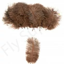 Mini Ostrich Marabou Plumes -Rod Tubes Verkoopwinkel Mini Ostrich Marabou plumes 40 83XXX dsc09501 bewerkt 1