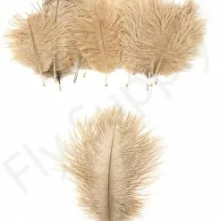 Mini Ostrich Marabou Plumes -Rod Tubes Verkoopwinkel Mini Ostrich Marabou plumes 40 83XXX dsc09502 bewerkt 1