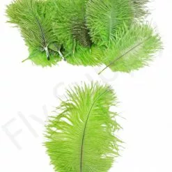 Mini Ostrich Marabou Plumes -Rod Tubes Verkoopwinkel Mini Ostrich Marabou plumes 40 83XXX dsc09507 bewerkt 1