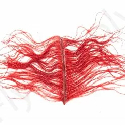 Premium Ostrich Herl Long Fibers 34 Premium Ostrich Herl Long Fibers -Rod Tubes Verkoopwinkel Ostrich Herl Long Fibers OH XXX dsc08765