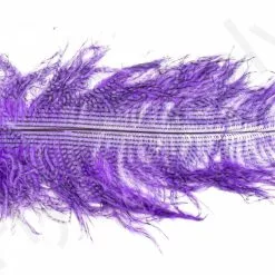 Ostrich Plumes Barred Large -Rod Tubes Verkoopwinkel Ostrich Plumes Barred Large FSTYING PLBLG X dsc08797