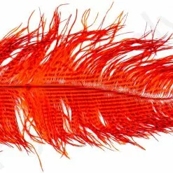 Ostrich Plumes Barred Large -Rod Tubes Verkoopwinkel Ostrich Plumes Barred Large FSTYING PLBLG X dsc08806