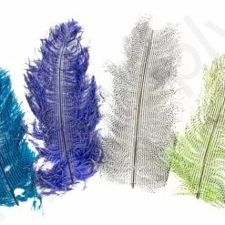 Ostrich Plumes Barred Large