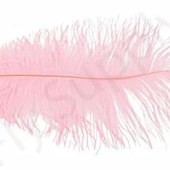 Ostrich Plumes Large -Rod Tubes Verkoopwinkel Ostrich plumes Large FSTYING PLLG X dsc08695 bewerkt