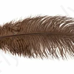 Ostrich Plumes Large -Rod Tubes Verkoopwinkel Ostrich plumes Large FSTYING PLLG X dsc08696 bewerkt