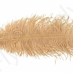 Ostrich Plumes Large -Rod Tubes Verkoopwinkel Ostrich plumes Large FSTYING PLLG X dsc08699 bewerkt