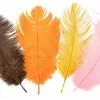 Ostrich Plumes Large 2 Ostrich Plumes Large -Rod Tubes Verkoopwinkel Ostrich plumes Large FSTYING PLLG X dsc08700 bewerkt
