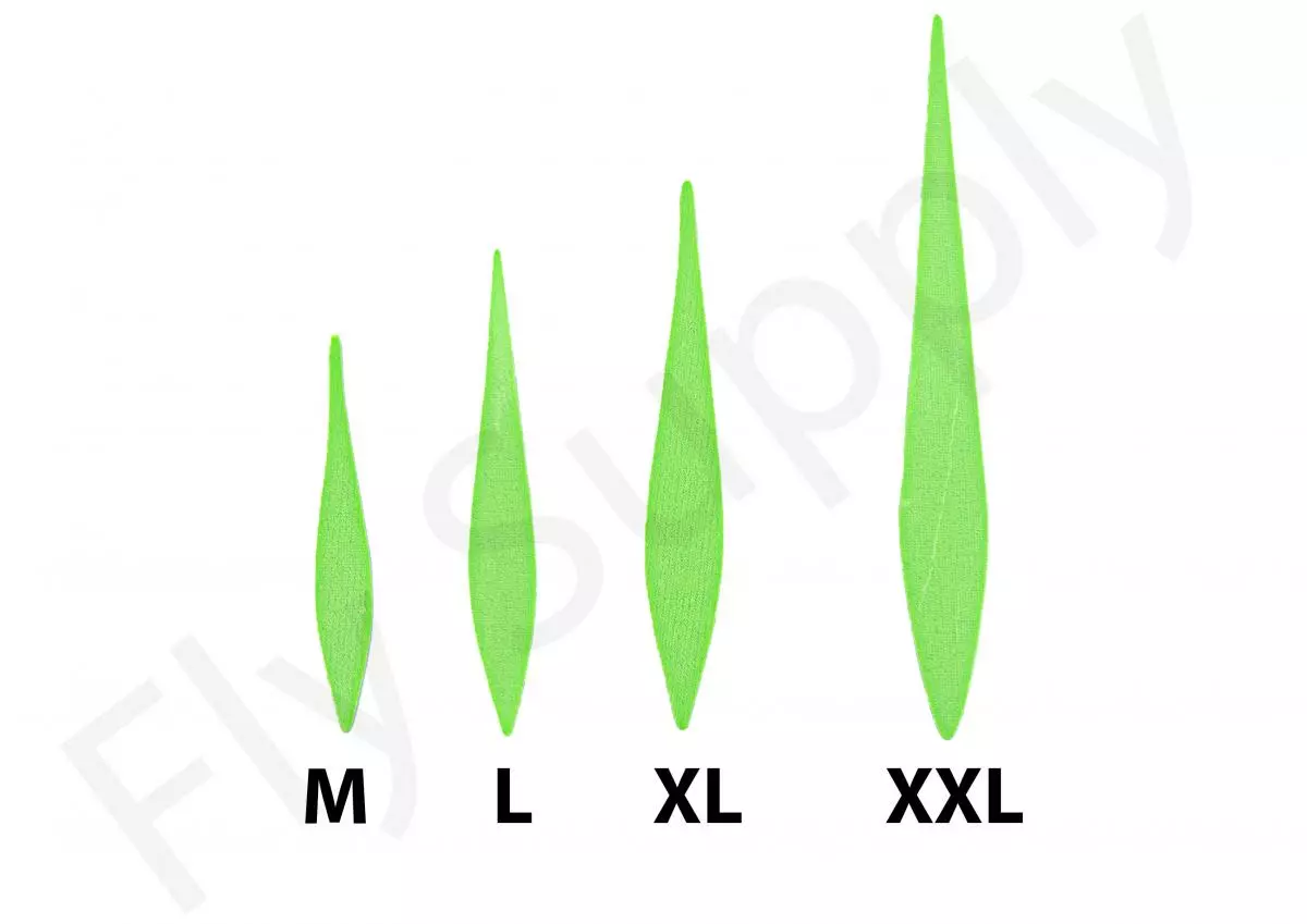 Pacchiarini’s Wave Tails Large 5 Pacchiarini’s Wave Tails Large - Afbeelding 3