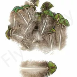 Peacock Body Feathers 25pc -Rod Tubes Verkoopwinkel Peacock Body Feathers 25pc 53582 XX dsc02566 bewerkt