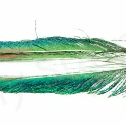 Peacock Swords 2 Pair