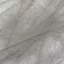 Petitjean CDC Feathers 1 Gram 20 Petitjean CDC Feathers 1 Gram -Rod Tubes Verkoopwinkel Petitjean CDC Feathers 1 Gram MPJ MP CDC XX petit feather1