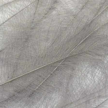 Petitjean CDC Feathers 1 Gram 5 Petitjean CDC Feathers 1 Gram - Afbeelding 3