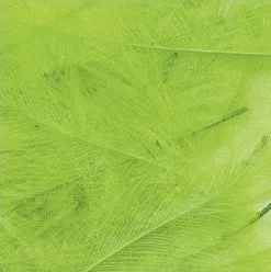 Petitjean CDC Feathers 1 Gram 28 Petitjean CDC Feathers 1 Gram -Rod Tubes Verkoopwinkel Petitjean CDC Feathers 1 Gram MPJ MP CDC XX petit feather11