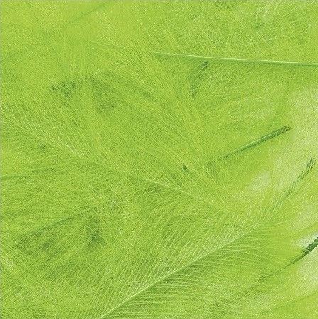 Petitjean CDC Feathers 1 Gram 13 Petitjean CDC Feathers 1 Gram - Afbeelding 11