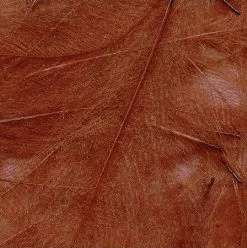 Petitjean CDC Feathers 1 Gram 31 Petitjean CDC Feathers 1 Gram -Rod Tubes Verkoopwinkel Petitjean CDC Feathers 1 Gram MPJ MP CDC XX petit feather14