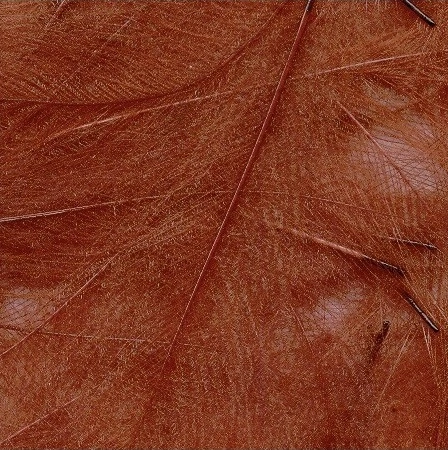 Petitjean CDC Feathers 1 Gram 16 Petitjean CDC Feathers 1 Gram - Afbeelding 14