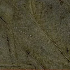 Petitjean CDC Feathers 1 Gram 33 Petitjean CDC Feathers 1 Gram -Rod Tubes Verkoopwinkel Petitjean CDC Feathers 1 Gram MPJ MP CDC XX petit feather15