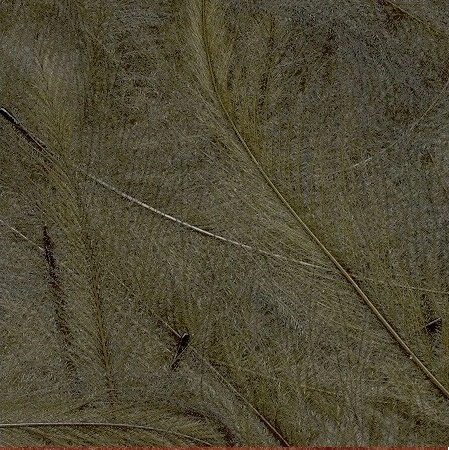 Petitjean CDC Feathers 1 Gram 18 Petitjean CDC Feathers 1 Gram - Afbeelding 16