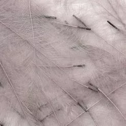 Petitjean CDC Feathers 1 Gram 21 Petitjean CDC Feathers 1 Gram -Rod Tubes Verkoopwinkel Petitjean CDC Feathers 1 Gram MPJ MP CDC XX petit feather2