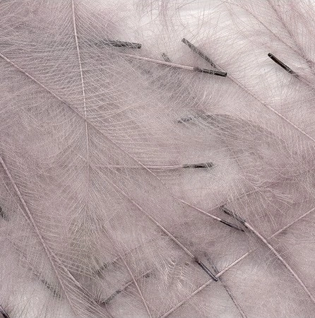 Petitjean CDC Feathers 1 Gram 6 Petitjean CDC Feathers 1 Gram - Afbeelding 4