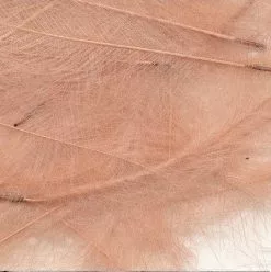 Petitjean CDC Feathers 1 Gram 22 Petitjean CDC Feathers 1 Gram -Rod Tubes Verkoopwinkel Petitjean CDC Feathers 1 Gram MPJ MP CDC XX petit feather3