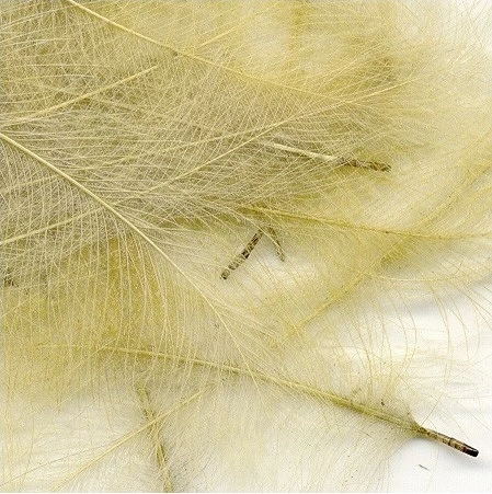 Petitjean CDC Feathers 1 Gram 8 Petitjean CDC Feathers 1 Gram - Afbeelding 6