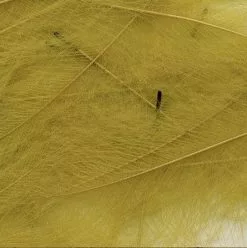 Petitjean CDC Feathers 1 Gram 25 Petitjean CDC Feathers 1 Gram -Rod Tubes Verkoopwinkel Petitjean CDC Feathers 1 Gram MPJ MP CDC XX petit feather8