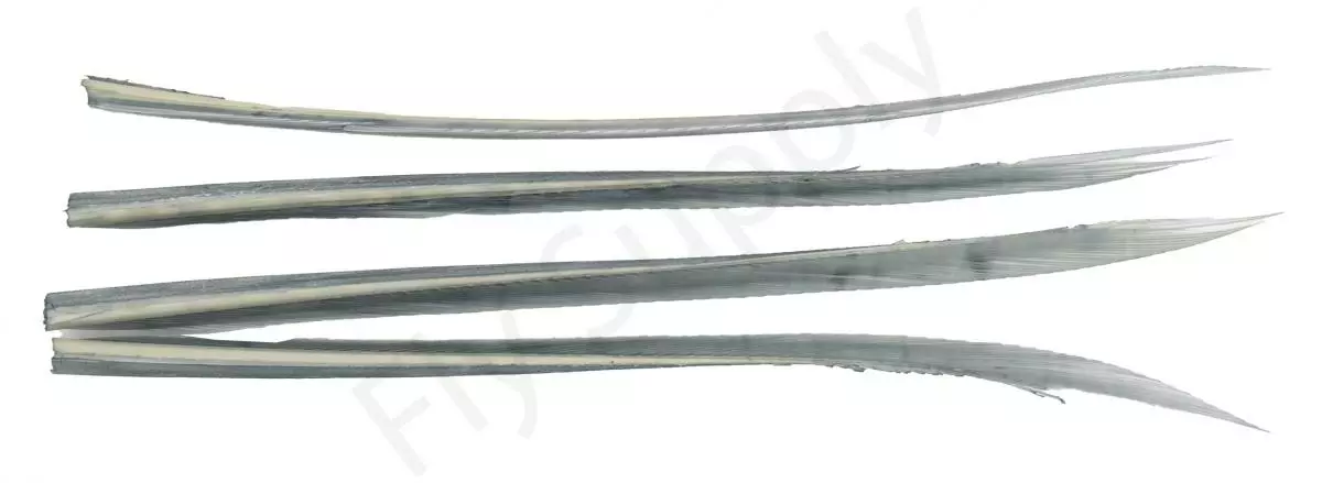 Premium Turkey Biots 7 Premium Turkey Biots - Afbeelding 5