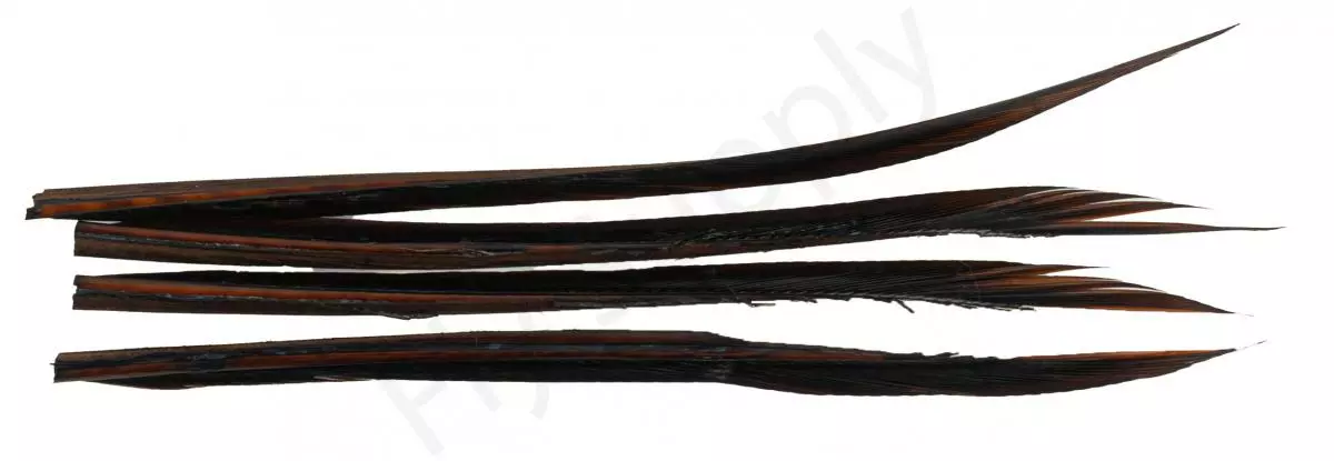 Premium Turkey Biots 5 Premium Turkey Biots - Afbeelding 3