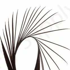 Premium Turkey Biots 21 Premium Turkey Biots -Rod Tubes Verkoopwinkel Premium Turkey Biots PREMTURKBIOTS XXX dsc03095 bewerkt 1